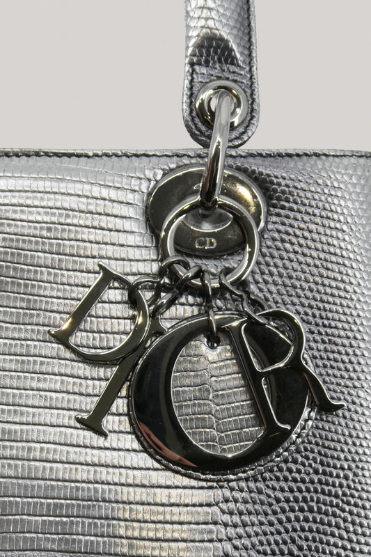Christian Dior Metallic Embellished Lizard Bag